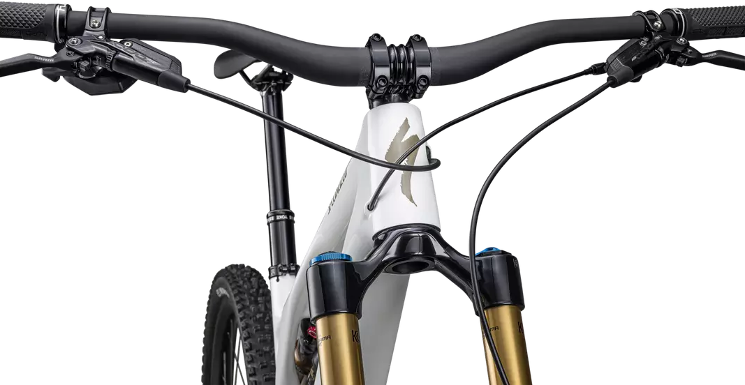  Specialized Stumpjumper EVO Pro